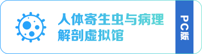 人体寄生虫与病理解刨标本馆