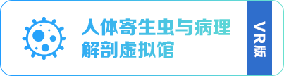 人体寄生虫与病理解刨标本馆